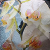 Зонт женский (полуавтомат) №5126 Орхидеи