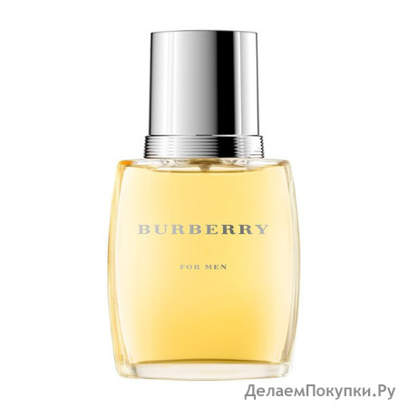 Burberry Burberry For Men 100ml  