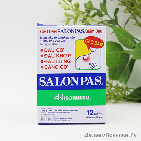   Salonpas, 12