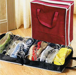     Shoe Tote