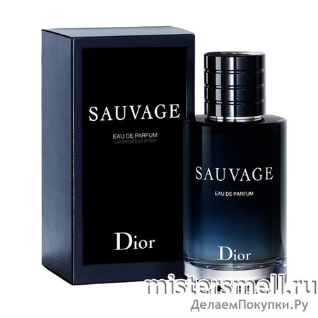 Christian Dior - Sauvage Eau De Parfum, 100 ml