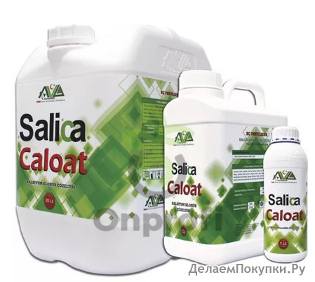   Salica CalOAT, 1