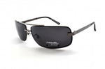   POMILED (Polarized) 08145 C2-31