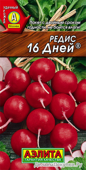   16 