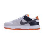  Nike Dunk Low Pro Gray