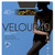  Omsa Velour 40 XL ( )