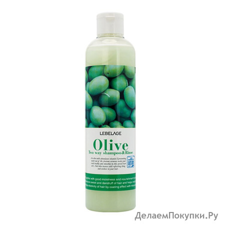 LEBELAGE -   2  1   Olive Two Way Shampoo, 300 