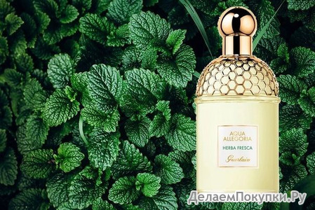 GUERLAIN Aqua Allegoria Herba Fresca