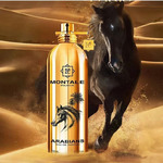 Montale Arabians