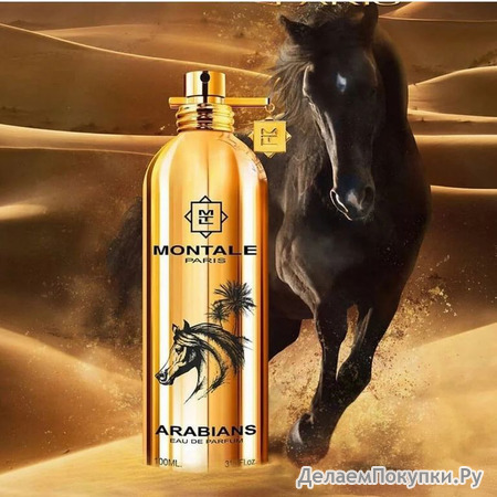 Montale Arabians