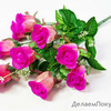 Букет розы "Жилка" 9 веток 9 цветков.