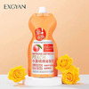 EXGYAN    PEACH   500