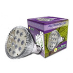   12 Led, 36W