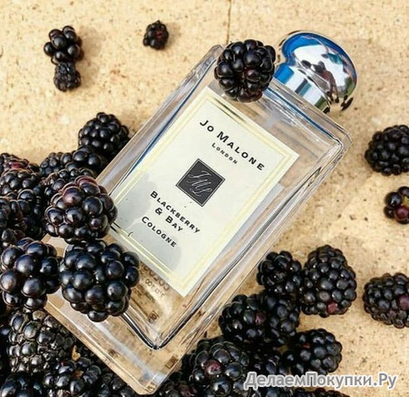 JO MALONE LONDON BLACKBERRY & BAY COLOGNE