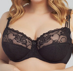 177,  ROSE (/), 