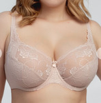104,  ROSE ( ),  