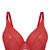  M  Nipplex Desire _Lx