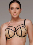      Zebra 586553/