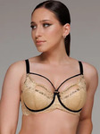   Zebra 542553/