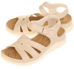  Evalli 8527_