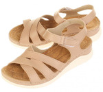  Evalli 8527_