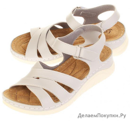  Evalli 8527_