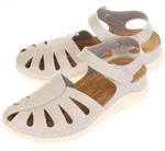  Evalli 8537_