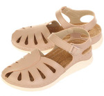  Evalli 8537_