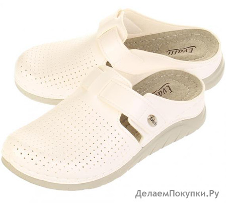  Evalli 8593_