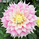 �������� ����� �������� (1��)