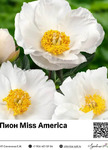  Miss America