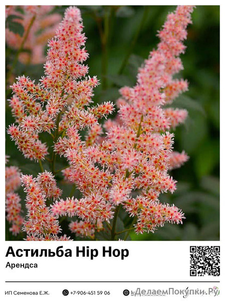  Hip Hop () : 7015