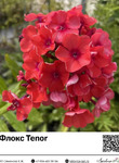  Tenor () : 40030