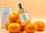 Guerlain Aqua Allegoria Mandarine Basilic