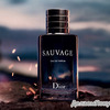 D*OR SAUVAGE