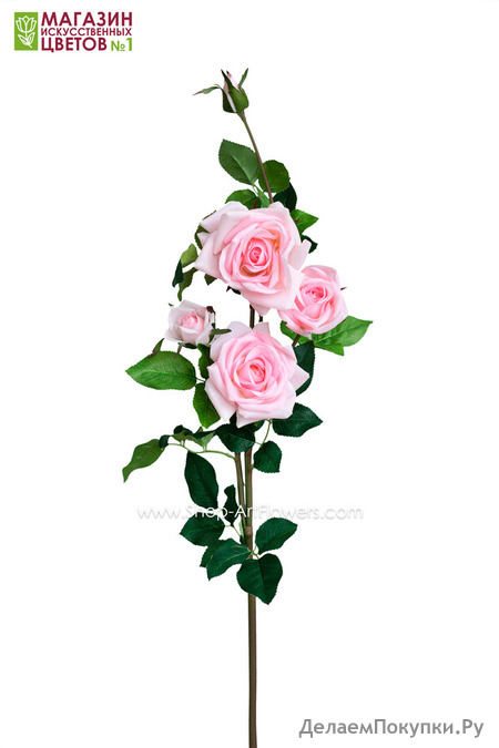 " 5  (3 +2  )"   5 , 