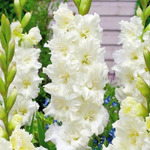 ��������� ������ �������� 12/14