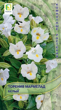 ������� �������� �����